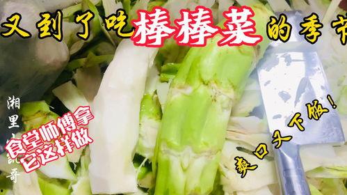 奉节吃瓜老师,揭秘校园里的趣味故事与教育智慧